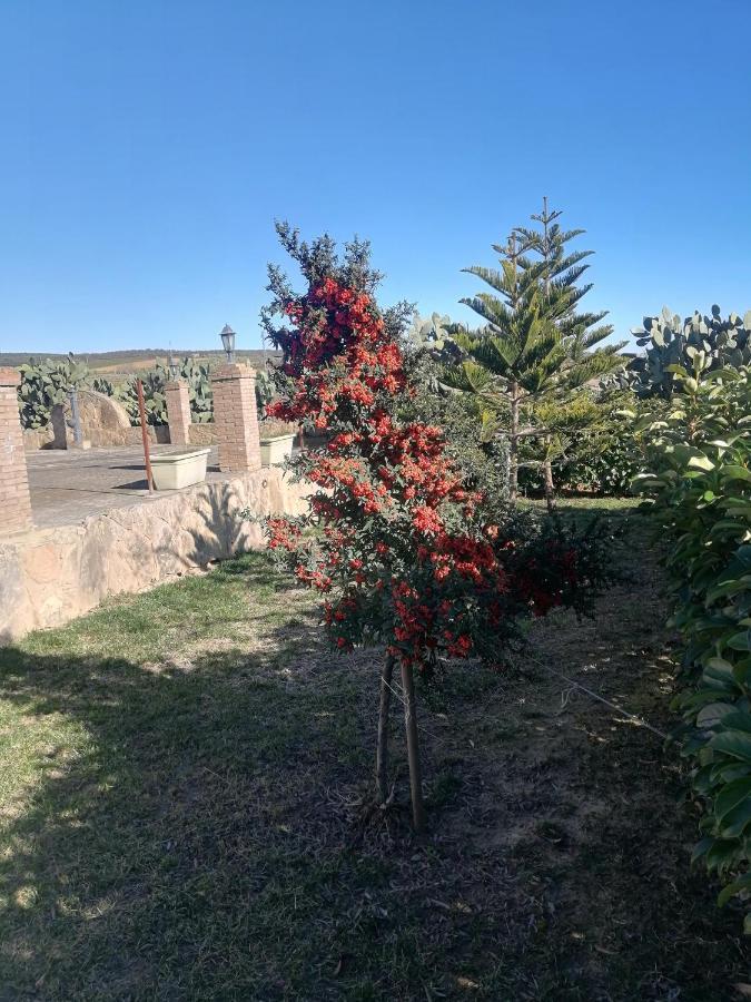 Villetta Immersa Nel Verde Пиаца Армерина Екстериор снимка