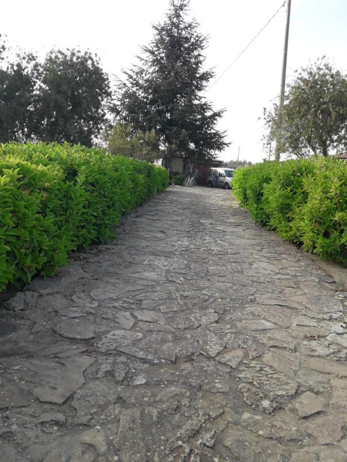 Villetta Immersa Nel Verde Пиаца Армерина Екстериор снимка
